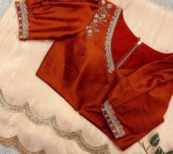 Peach tissue silk saree with hand embroidered blouse