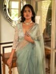 pure organza silk saree with hand embroidered blouse