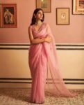 pure organza silk saree with hand embroidered blouse