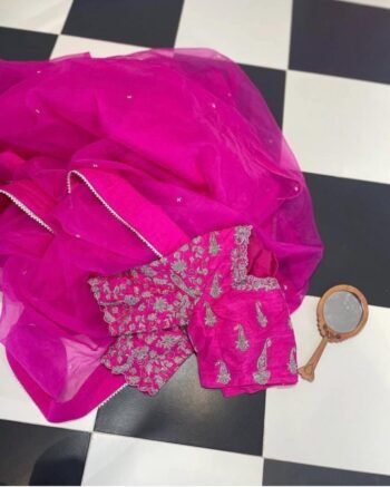 Pink pure organza silk saree with hand embroidered blouse