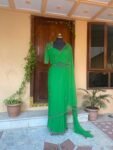 Soft net hand work saree with hand embroidered blouse