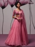 Pink Organza Lehenga Set: Hand Embroidered Indian Crop